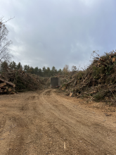 The debris piles continue to build - they're nearly the same height as the trucks now! 